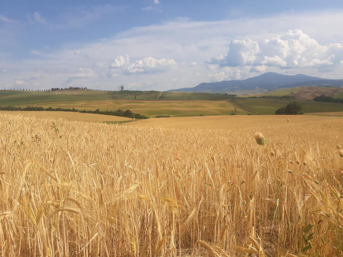La Corte Antica بيينْسا المظهر الخارجي الصورة