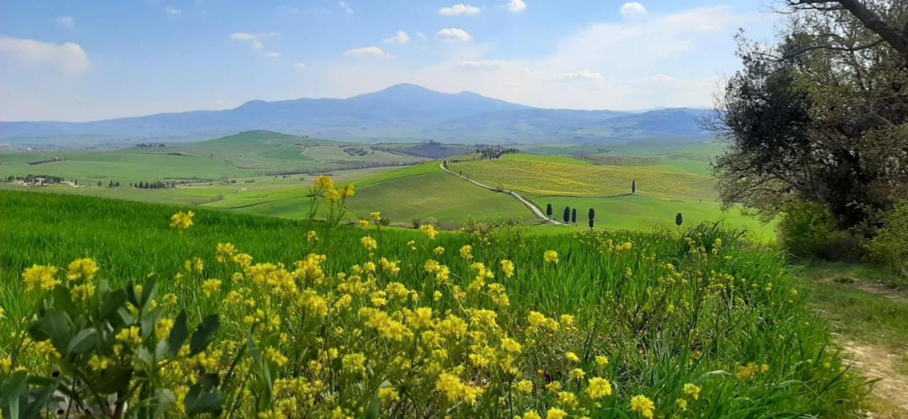 La Corte Antica بيينْسا المظهر الخارجي الصورة